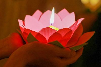 Lễ Vu Lan cài hoa hồng màu gì? Ý nghĩa từng màu hoa trên ngực áo