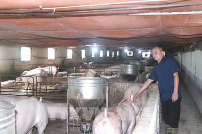 Đẩy mạnh liên kết chuỗi và truy xuất nguồn gốc trong chăn nuôi