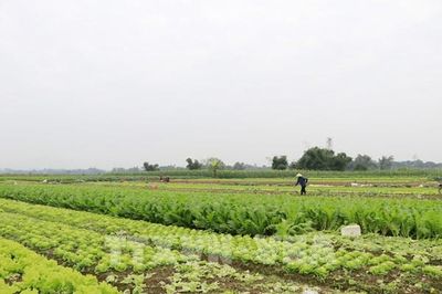 Lào Cai hỗ trợ phụ nữ khởi nghiệp giai đoạn 2026 - 2035