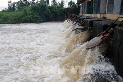 Hải Phòng khẩn trương tiêu úng, bảo vệ hơn 14.000 ha cây trồng bị ngập