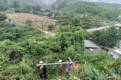 Chưa ghi nhận sự cố lưới điện cao áp do bão số 4