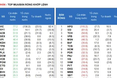 Tổ chức trong nước và tự doanh tiếp tục thoát hàng