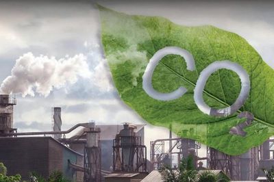 Đề xuất phân cấp một số thủ tục tổ chức, phát triển thị trường carbon xuống địa phương