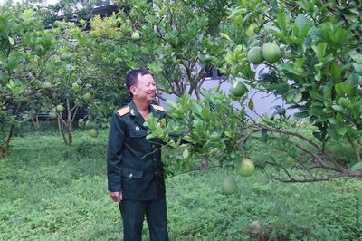 Đảng viên - thương binh Trần Văn Hiền: Gương mẫu, làm kinh tế giỏi