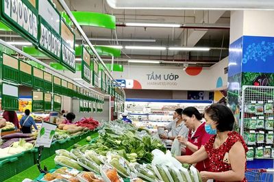 Đề xuất giảm thuế thu nhập cá nhân và thu nhập doanh nghiệp:Tạo động lực cho hộ kinh doanh, doanh nghiệp vừa và nhỏ