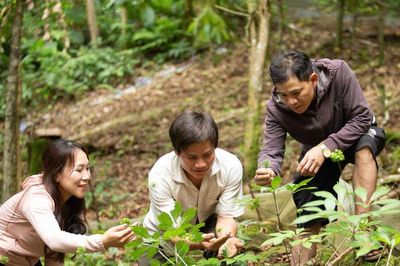 Mở sinh kế du lịch dưới tán rừng