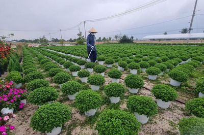 Đổi mới công tác khuyến nông