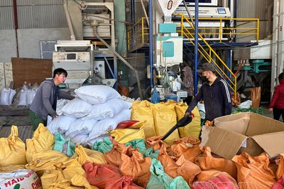 Công nghiệp chế biến, nâng tầm nông sản