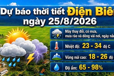 Bản tin Dự báo thời tiết ngày 25/8/2026