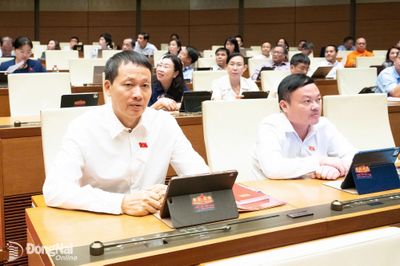 Luật Phát triển đô thị: Mở không gian phát triển, khơi thông thể chế cho Đồng Nai cùng các thành phố khác