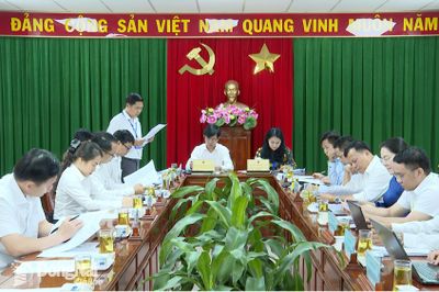 HĐND thành phố Đồng Nai thẩm tra 3 dự thảo nghị quyết thuộc lĩnh vực pháp chế