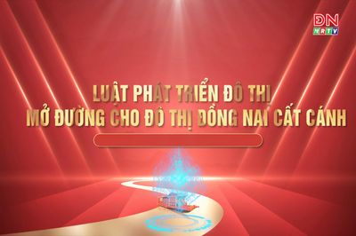 [Video] Luật Phát triển đô thị - mở đường cho đô thị Đồng Nai cất cánh