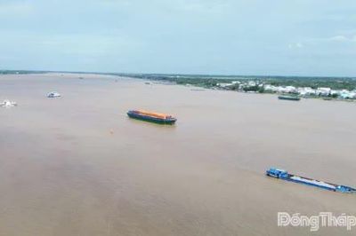 Đồng Tháp: Mực nước các nơi đang lên nhanh theo triều cường và lũ thượng nguồn