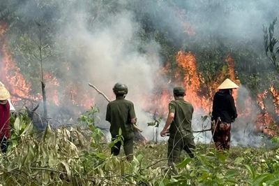Khống chế đám cháy rừng keo tại đèo Cây Cốc