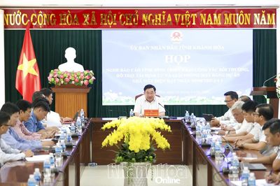 Gỡ từng vướng mắc để bảo đảm tiến độ Dự án Nhà máy Điện hạt nhân Ninh Thuận 1