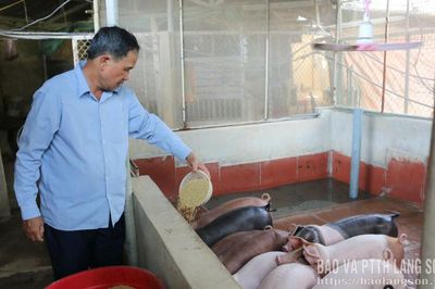 Nông dân Hữu Lũng xây dựng nông thôn mới