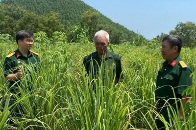 Cựu chiến binh xã Yên Bình giúp nhau giảm nghèo, làm kinh tế giỏi