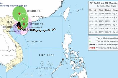 Tin bão khẩn cấp bão số 4 ngày 24/08/2026: Vùng gần tâm gió giật cấp 11, mưa to trên 250mm