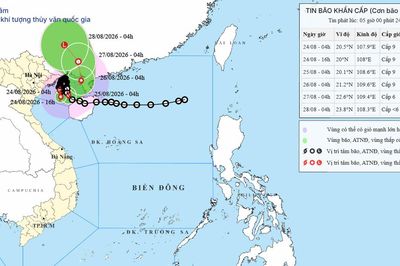 Dự báo bão số 4 ngày 24/08/2026: Cảnh báo gió giật cấp 11 và mưa to diện rộng tại Bắc Bộ