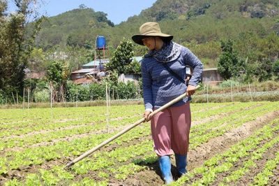 Phụ nữ dân tộc thiểu số Lâm Đồng vươn lên phát triển kinh tế