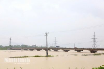 Tỉnh Ninh Bình: Cấm toàn bộ phương tiện thủy qua khu vực cầu Đế trên sông Bôi do mưa lũ