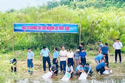 Kim Phú: Thả hơn 20.000 cá giống tái tạo nguồn lợi thủy sản