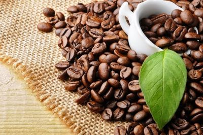 Ngày 24/8: Giá cà phê tăng mạnh, hồ tiêu sát mốc 140.000 đồng/kg