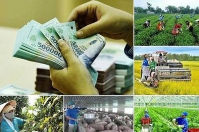 Tích hợp 4 chương trình mục tiêu quốc gia: Không để gián đoạn chính sách, nguồn lực