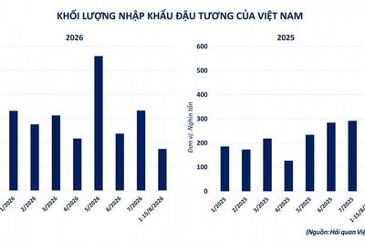 Đơn hàng lớn từ Trung Quốc làm nóng thị trường đậu tương
