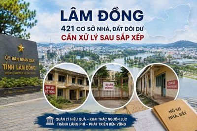 Lâm Đồng có 421 cơ sở nhà, đất dôi dư, 280 cơ sở đang bỏ trống