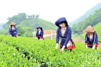 Hơn 808.000 tỷ đồng triển khai Chương trình phát triển văn hóa - xã hội, nông thôn, dân tộc và miền núi
