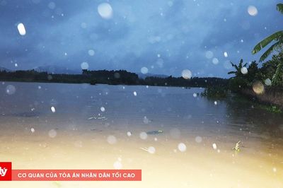 Bắc Ninh: Hơn 8.300 hecta lúa, hoa màu bị ngập úng