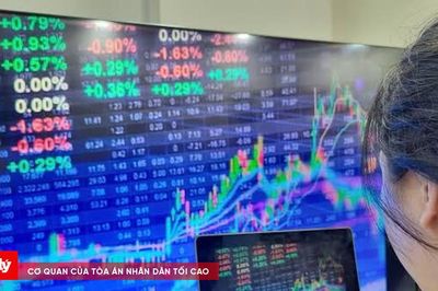 Năng lượng Trung Nam bị phạt vì chậm công bố thông tin trái phiếu