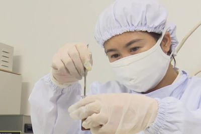 Giữ gìn tinh hoa - phát huy giá trị Đông y Việt Nam