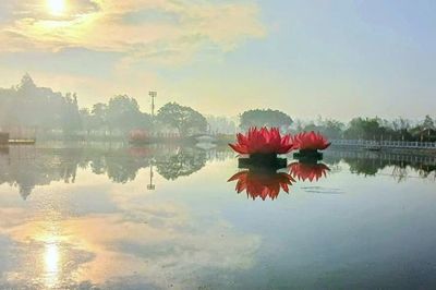 Tháng Bảy - nhìn lại những ân duyên trong đời