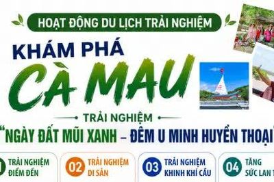 Khám phá Cà Mau: Trải nghiệm 'Ngày Đất Mũi xanh – Đêm U Minh huyền thoại'