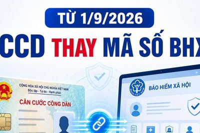 Từ 1/9, dùng số định danh cá nhân thay mã số BHXH trên hệ thống: Người dân cần làm gì?