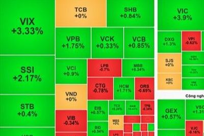 Chốt phiên 24/8: VN-Index tăng hơn 20 điểm, thanh khoản HoSE bật mạnh