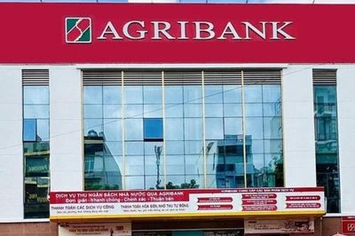 Những tồn tại trong hoạt động cấp tín dụng tại Agribank Hoành Bồ Quảng Ninh