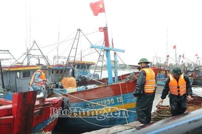 Hưng Yên chạy đua tiêu úng, bảo vệ mùa màng trước bão số 4
