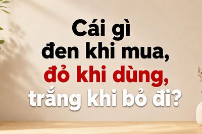 Cái gì đen khi mua, đỏ khi dùng, trắng khi bỏ đi?