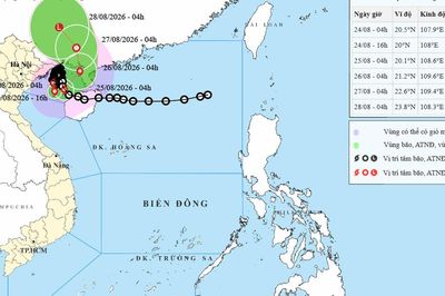 Dị thường: Bão số 4 gần như đứng im nhưng duy trì sức gió giật cấp 11