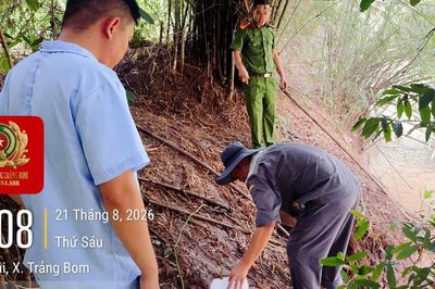 Phát hiện trang trại nuôi lợn xả nước thải ra suối