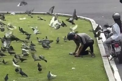 Công an làm việc với nam thanh niên bắt bồ câu giữa trung tâm TP.HCM