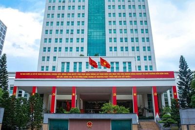 Rà soát, sắp xếp, bố trí công chức, viên chức; sắp xếp đơn vị sự nghiệp, cơ sở giáo dục, y tế, doanh nghiệp