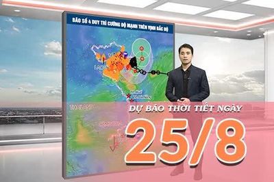 [Video] Dự báo thời tiết 25/8/2026: Bão số 4 tiếp tục gây mưa dông tại Bắc Bộ, Nam Trung Bộ có nắng nóng gay gắt trên 38 độ