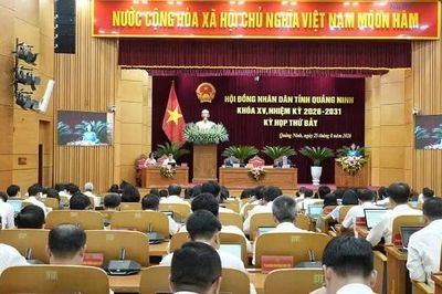 Đồng chí Vũ Thị Mai Anh được bầu giữ chức vụ Phó Chủ tịch Ủy ban nhân dân tỉnh Quảng Ninh