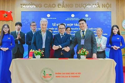 Kết nối sinh viên ngành điều dưỡng Việt Nam với thị trường lao động quốc tế