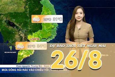 [Video] Dự báo thời tiết đêm nay và ngày mai 26/8/2026: Bão số 4 suy yếu thành áp thấp nhiệt đới