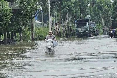 Thanh Hóa: Tập trung tiêu thoát nước, bảo vệ cây trồng, vật nuôi